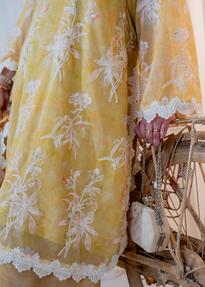 LL01 | Honey Gold